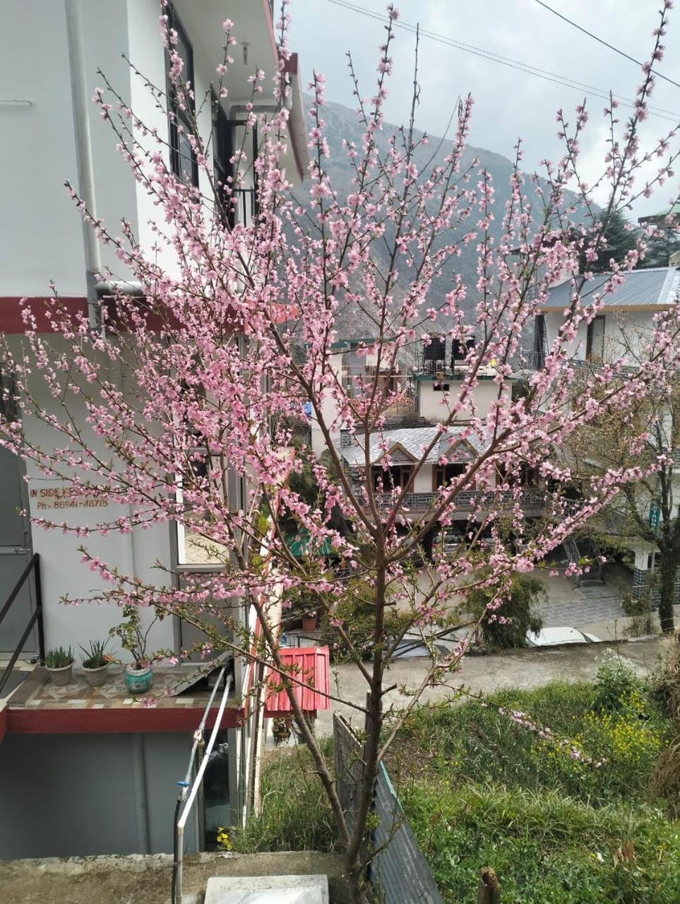 Aman Inn Dharamshala Luaran gambar
